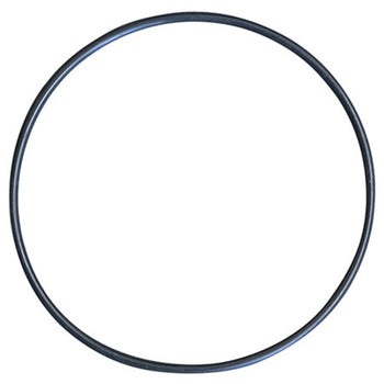 O-Ring for PMP520 - Euro 20