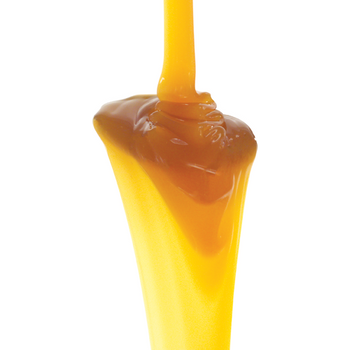 Pilsner Malt Extract Syrup