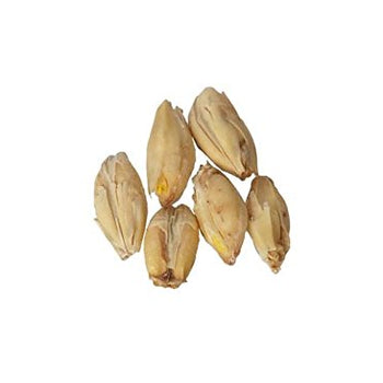 Brewmaster GR300FM Malt - 2-Row Pale - 10 lb Milled