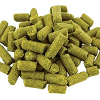 Citra Pellet Hops 1 lb