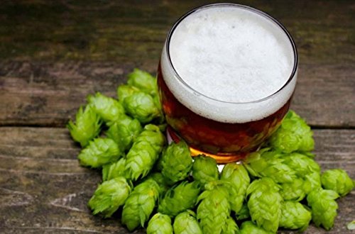 HOPS CASCADE 8oz FACTORY PACKED PELLET HOPS for American Craft Beer Brewing