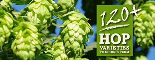 HOPS CASCADE 8oz FACTORY PACKED PELLET HOPS for American Craft Beer Brewing