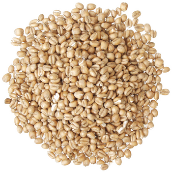 Torrified Wheat - Briess Malting