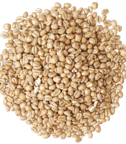 Grains